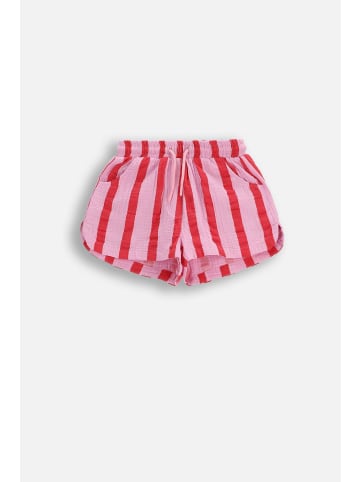 Coccodrillo Kurze shorts in rosa