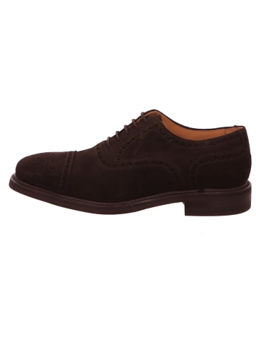 Berwick 1707 Schnürschuh in braun