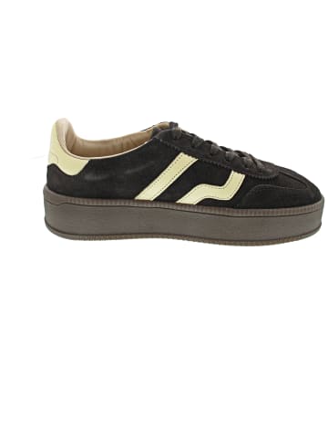 Gant Cuzmani Sneaker low Braun