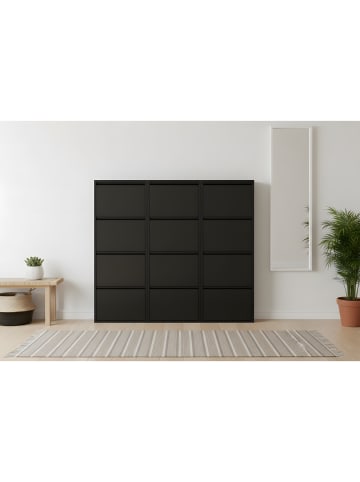 ebuy24 Schuhschrank Pisa Schwarz 150 x 16 cm