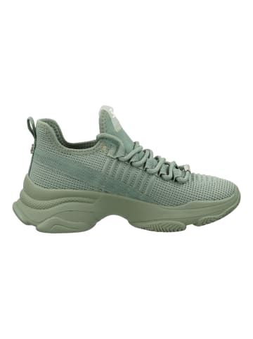 Steve Madden Sneaker in Sage