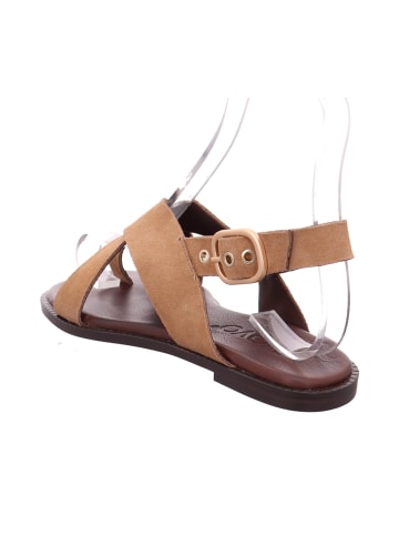 INUOVO Zehenstegsandalen in Beige