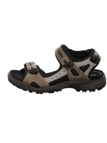 Ecco Outdoorsandalen Offroad in vetiver/wild dove