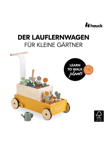 Hauck Holz-Lauflernwagen Learn to Walk - mit viel in gelb,bunt