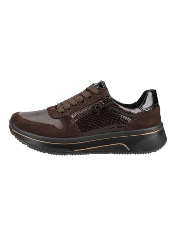 ara Sneaker SAPPORO 3.0 in Caffee