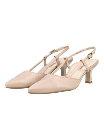 Paul Green Pumps in Beige