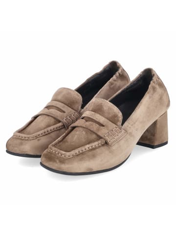 Paul Green Trotteurs in taupe