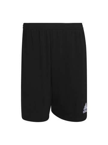 adidas Sportshorts für Herren in uni