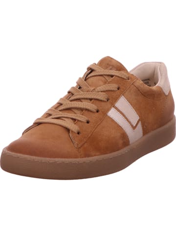 Paul Green Sneaker in braun