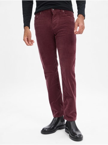 Andrew James Cordhose Aiden in aubergine - 0010