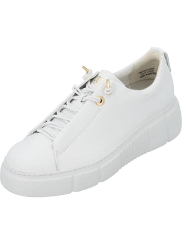 Paul Green Schnürschuhe in white
