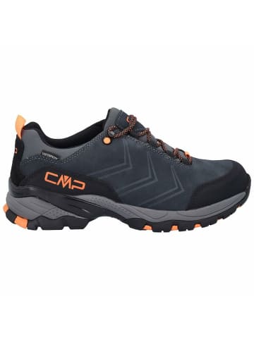 cmp Wanderschuhe für Herren in blau
