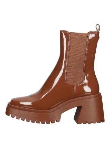 Steve Madden Stiefelette Cognac