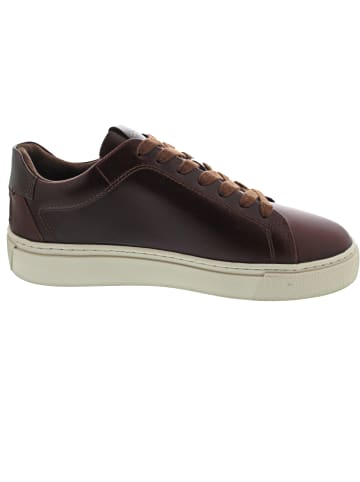 Gant Mc Julien Sneaker low Braun