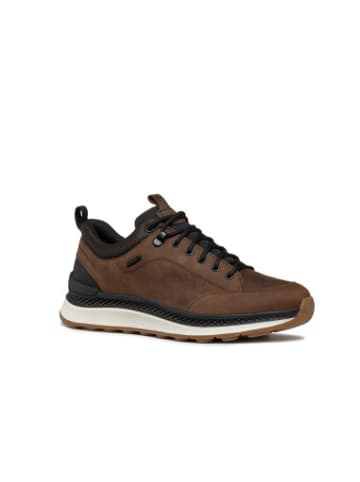 Geox Sneakers U in Coffee/Black