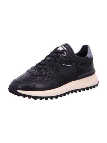 Floris van Bommel Sneaker Low in Schwarz
