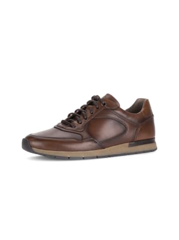Gabor Sneaker low in braun