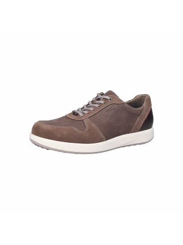 Joya Sneaker für Herren in braun