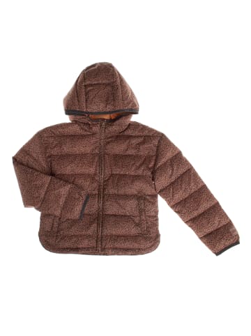 GAP Übergangsjacke in Brown