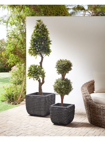 Beliani 2-tlg Outdoor Blumentopf BERBERIS in Schwarz