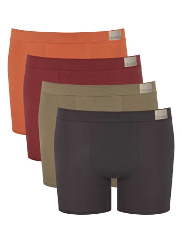 Sloggi Boxershort 4er Pack in Braun Mix