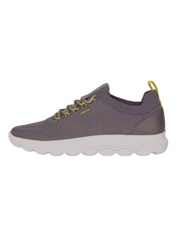 Geox Sneaker in Dunkelgrau