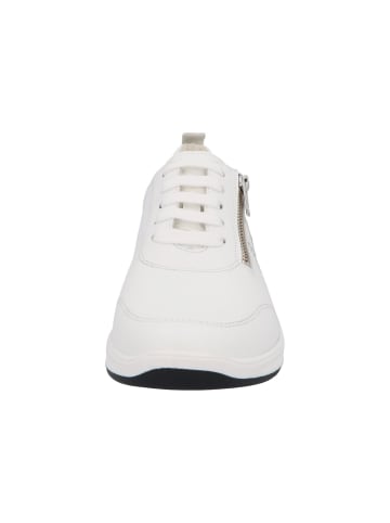 Solidus Damen- Schnürschuhe Halea - Weite F in Weiß