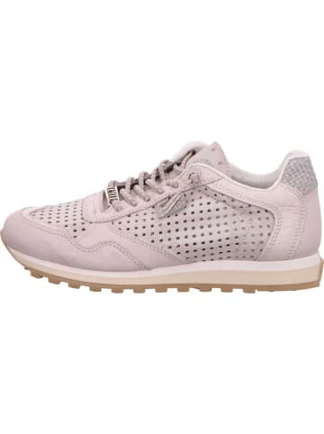 Cetti Sneaker in grau