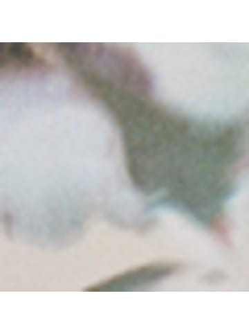 Hessnatur Kimono Kleid in marine