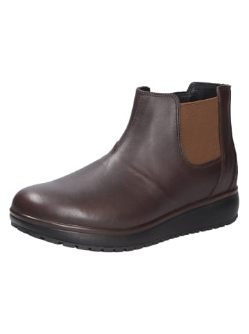 Joya Stiefelette LONDON II DARK BROWN in braun