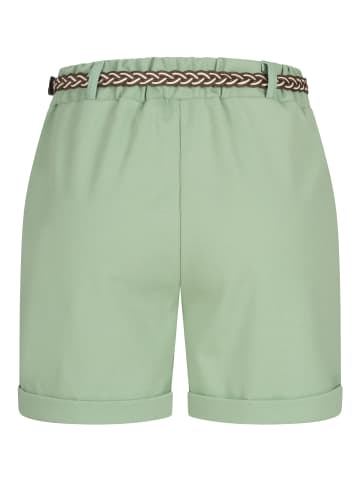 Cloud5ive Shorts - Chinos in green