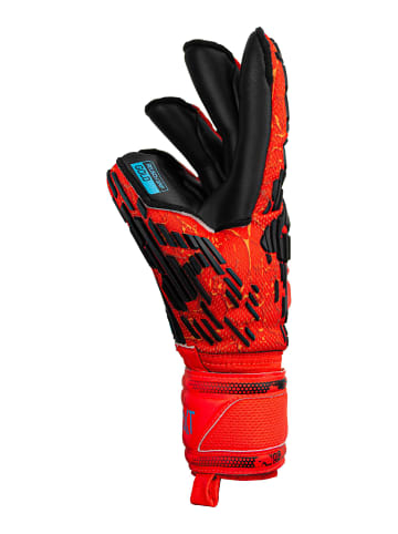 Reusch Torwarthandschuhe Attrakt Freegel Gold in 3333  brig red/futr blu/blck