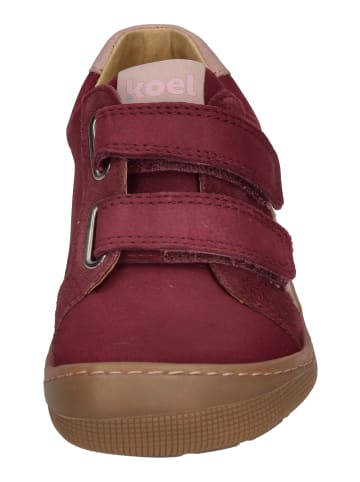 KOEL Sneaker Low DENIS NAPPA 2.0 07M031.121-610 in rot