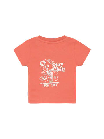 Noppies T-Shirt - Backprint in Burnt Sienna