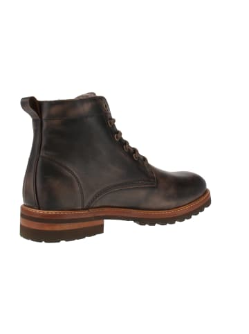 PANAMA JACK Ankle-Boots Emery Igloo in Braun