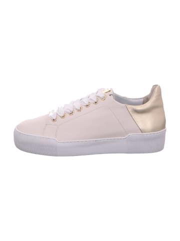 Högl Sportliche Schnürschuhe in Beige