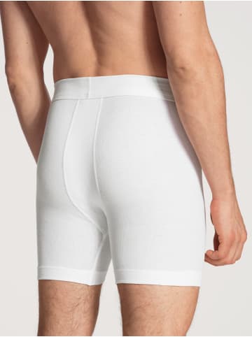 Calida New Boxer in weiss