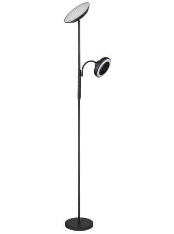 Globo lighting Deckenfluter "DAVYD" in black