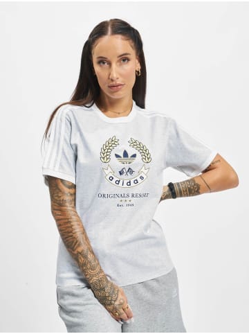 Adidas originals Adidas originals T-Shirt in grey