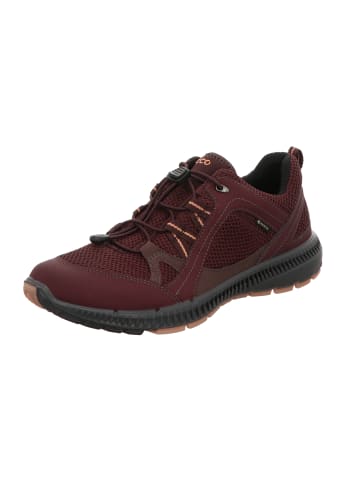Ecco Schnürschuh in braun