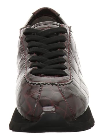 Kennel & Schmenger Sneaker Low in rot