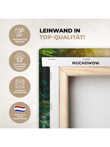 MuchoWow Leinwand bilder Wasserfall Sonnenstrahlen (BxH)