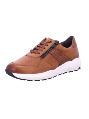 Solidus Damen- Schnürschuhe Kea - Weite K in Braun