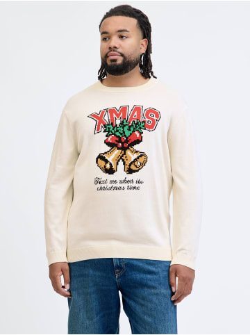 JACK & JONES PLUS Strickpullover in Sea Salt