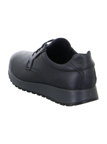 ara Sportliche Schnürschuhe in Schwarz