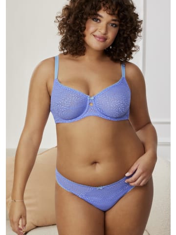 nuance Minimizer-BH in kornblume-blau