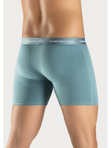 Copenhagen Studios Langer Boxer in salbei / dunkelsalbei / grau-meliert