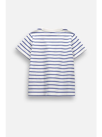 Coccodrillo Baumwoll-T-Shirt mit kurzen Ärmeln in kobaltblau