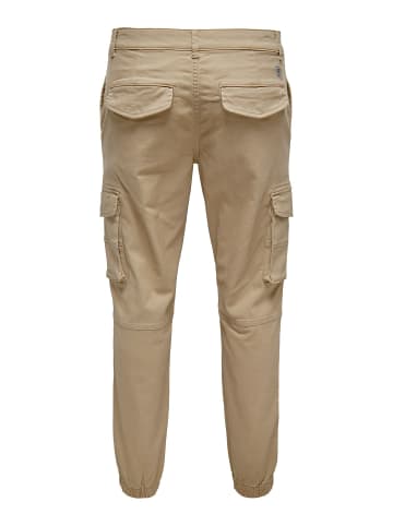 Cargo-Hose in Chinchilla 1