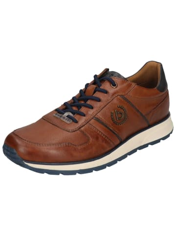 Bugatti Sneaker in braun
